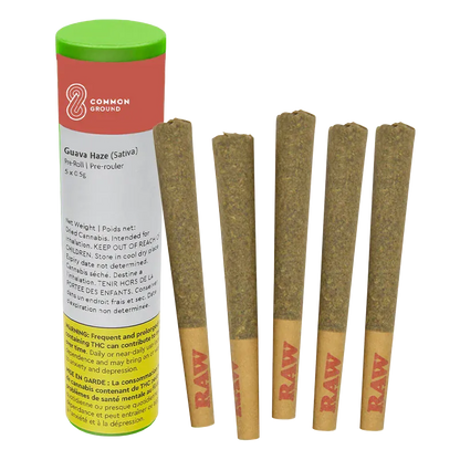Five pre-rolls standing upright next to a green-topped tube of Common Ground Guava Haze PR 5 x 0.5 g on a white background.