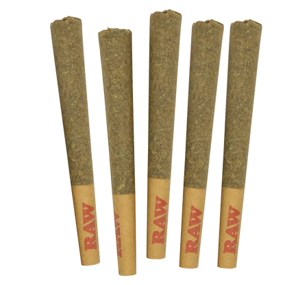 Top-down view of five RAW Guava Haze PR 5 x 0.5 g pre-rolls standing upright on a white background.
