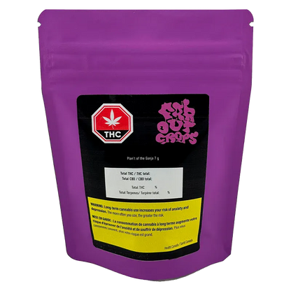 Front-facing shot of the purple Plan't of the Ganja pouch with a black label, red THC icon, and yellow warning panel.