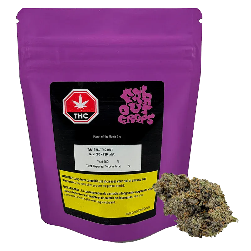 Front-facing pouch shot of Plan't of the Ganja 7 g in bright purple with a black label, THC symbol, and a cannabis bud at the lower right.