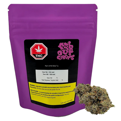 Front-facing pouch shot of Plan't of the Ganja 7 g in bright purple with a black label, THC symbol, and a cannabis bud at the lower right.