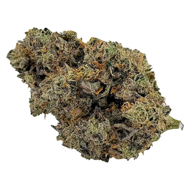 Single close-up of a dense, frosty "Plan't of the Ganja" cannabis bud showing green, purple, and orange trichome-covered details.