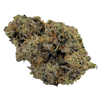 Single close-up of a dense, frosty "Plan't of the Ganja" cannabis bud showing green, purple, and orange trichome-covered details.