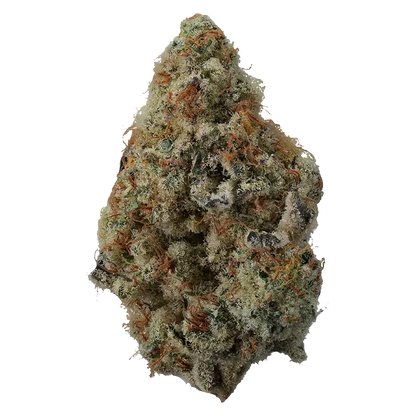 Close-up of a single dense bud of Spritzer showing frosty trichomes and orange hairs against a plain white background