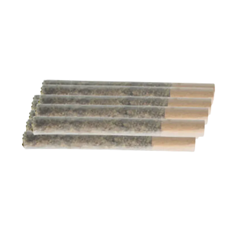 Close-up perspective of seven rolled joints arranged diagonally on white background, labeled Indica PR 10 x 0.5 g.