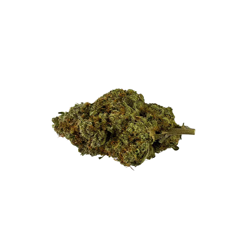 Single top-down view of a dried Banjo cannabis bud with green and amber hairs against a white background