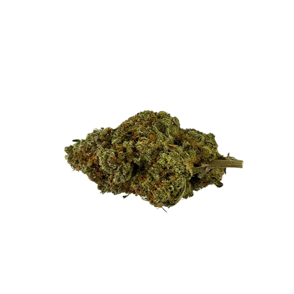 Single top-down view of a dried Banjo cannabis bud with green and amber hairs against a white background