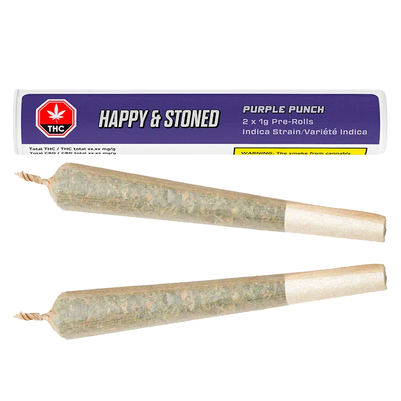 Top-down view of two rolled joints below a purple tube labeled "Purple Punch PR 2 x 1 g" showing the paper tips and twisted ends.