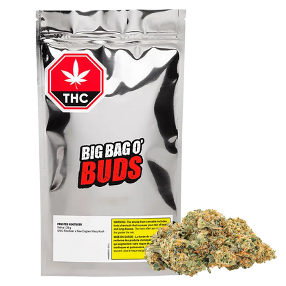 Front-facing silver pouch labeled Big Bag O' Buds with a pile of Frosted Rootbeer cannabis nugs in front.