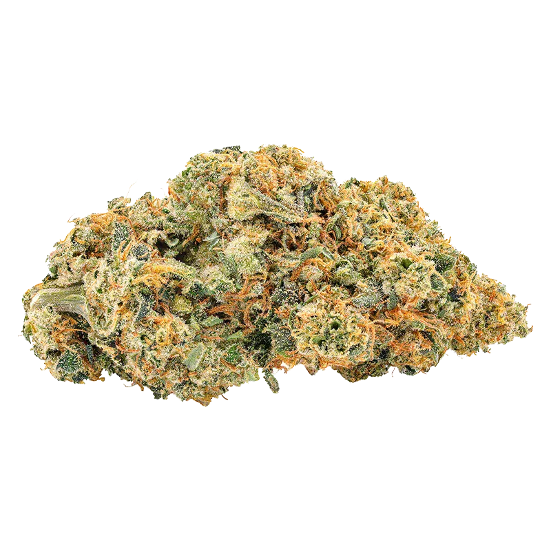 Close-up front view of a frosty bud of Frosted Rootbeer, showing dense green nugs studded with orange hairs and a sparkling trichome coating.