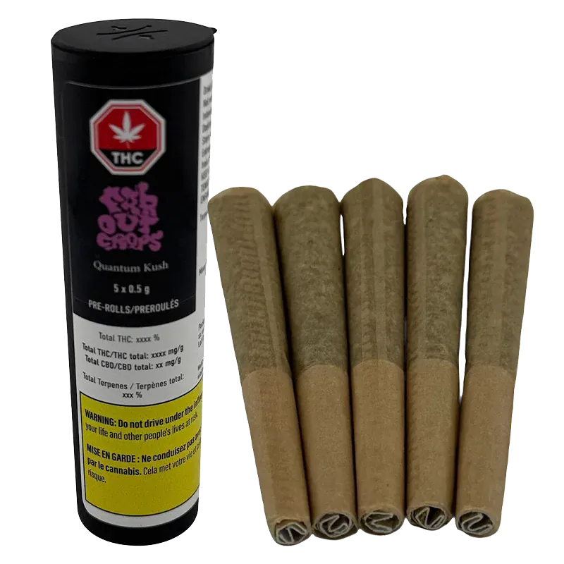 Right-side view of five upright brown pre-rolls beside a black tube labeled Quantum Kush PR 5 x 0.5 g.