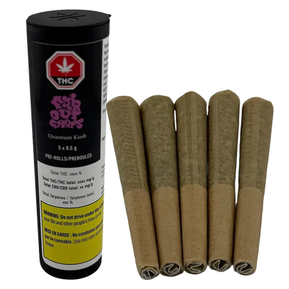 Right-side view of five upright brown pre-rolls beside a black tube labeled Quantum Kush PR 5 x 0.5 g.