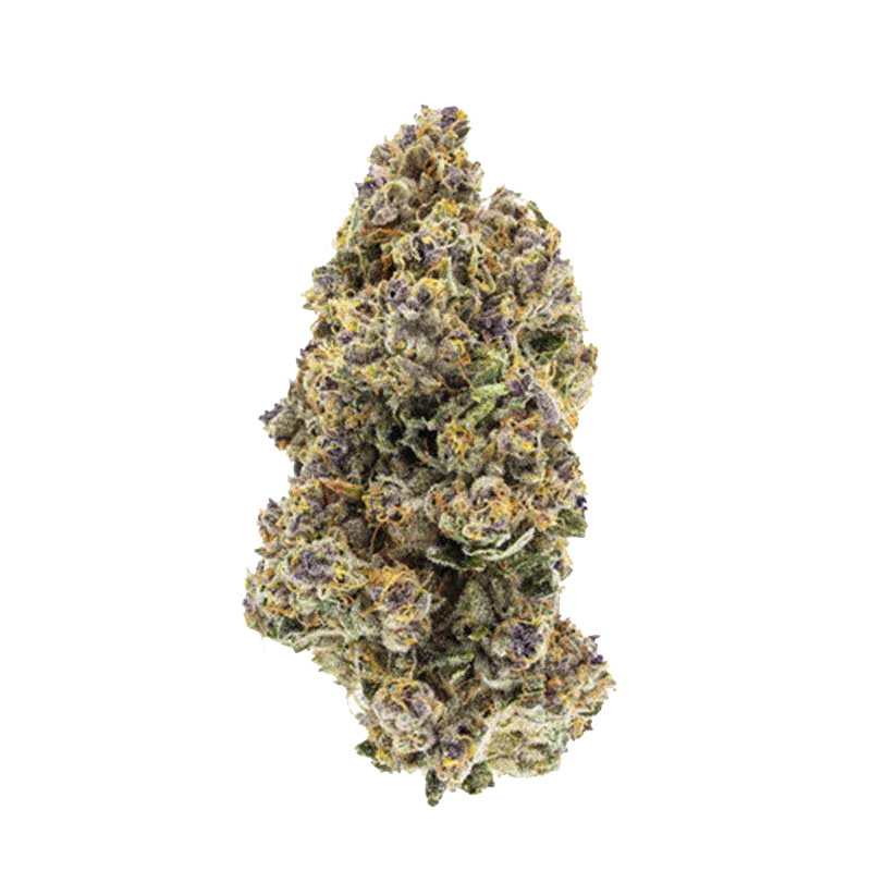 Top-down close-up of a single "Organic Triangle Queen" cannabis bud showing dense purple-green florets and amber hairs on a white background.