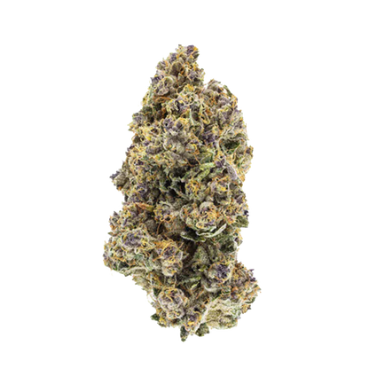 Top-down close-up of a single "Organic Triangle Queen" cannabis bud showing dense purple-green florets and amber hairs on a white background.
