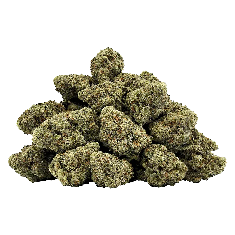 Pile of dense, frosty Snow Globe cannabis buds photographed from the front on a clean white background.