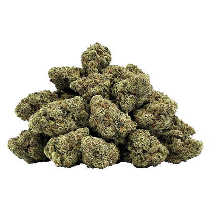 Pile of dense, frosty Snow Globe cannabis buds photographed from the front on a clean white background.