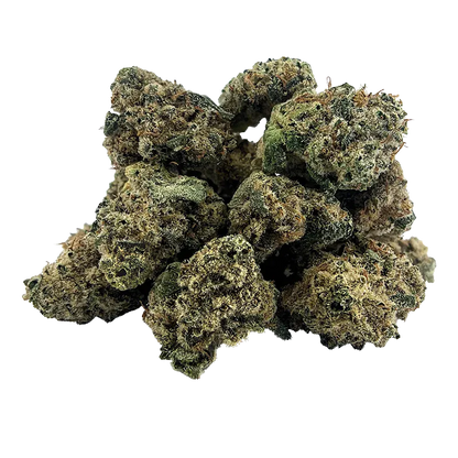Close-up front view of a pile of dense green buds of Sleeping Tiger Smalls against a white background.