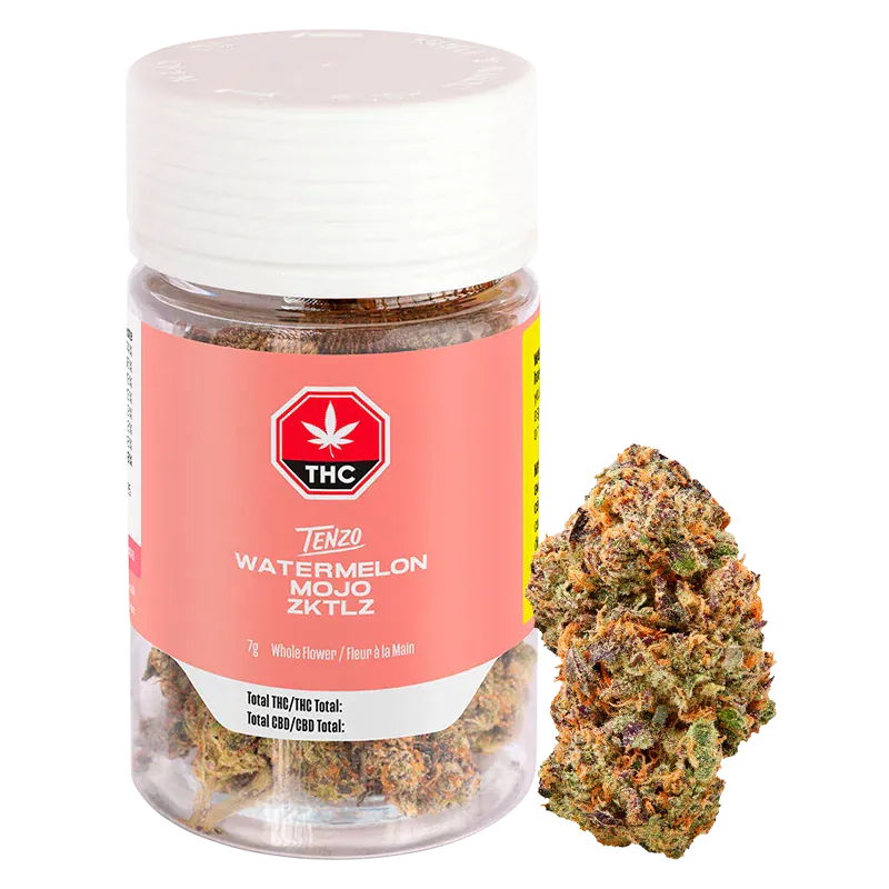 Clear front view of a Tenzo Watermelon Mojo Zktlz jar with a pink label and a single dense bud positioned to its right.
