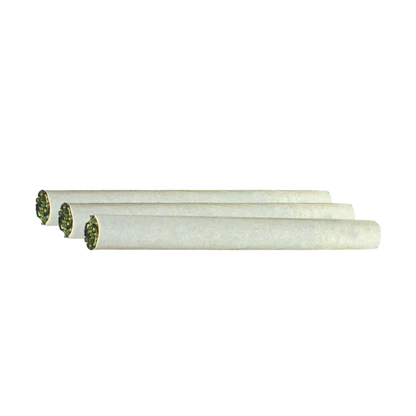 Three-quarter view of three white rolled joints of Green Congo PR 3 x 0.5 g lined up on a white background.