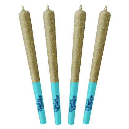 Four upright pre-rolls shown front-facing on a white background, each labeled "Arctic Ice PR 4 x 0.5 g" with blue filters.