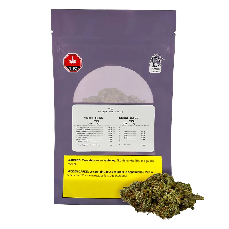 Front-lit photo of the purple Banjo package standing upright with a white label, THC symbol, yellow warning panel, and a bud placed at the lower right.
