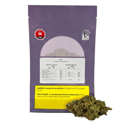 Front-lit photo of the purple Banjo package standing upright with a white label, THC symbol, yellow warning panel, and a bud placed at the lower right.
