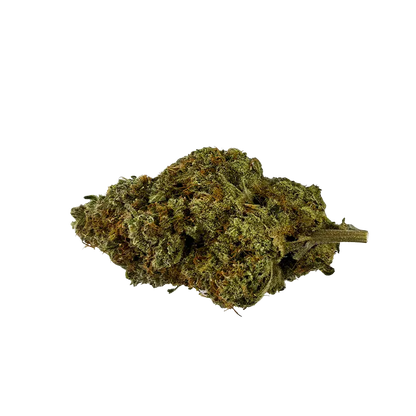 Close-up of a single Banjo cannabis bud laid on a white background, showing green and amber trichome-covered leaves.