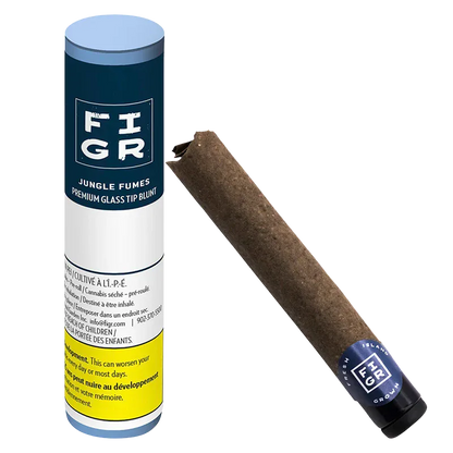 Angled view of a pre-rolled brown blunt resting beside its tall blue-and-white tube packaging labeled Jungle Fumes Premium Glass Tip PR 1 x 1 g
