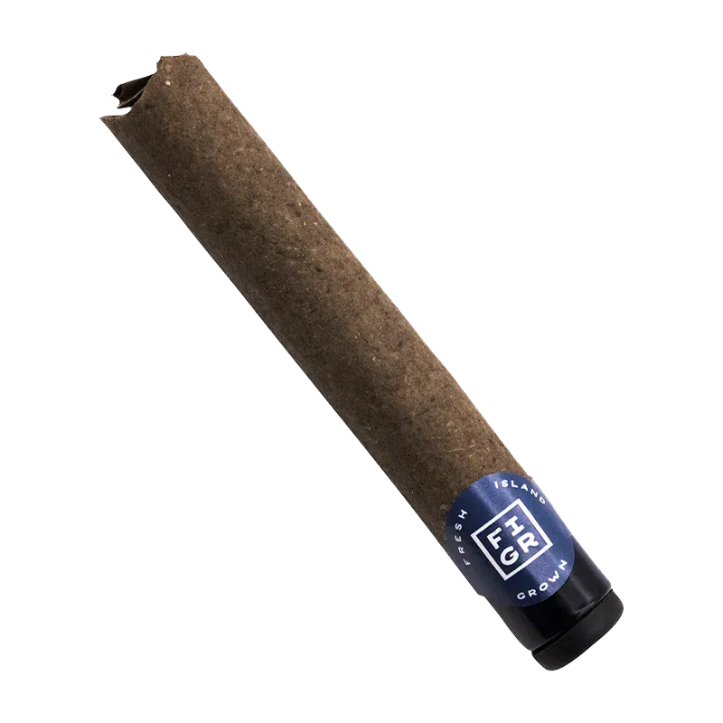 Angled close-up of a brown pre-roll with a black glass tip labeled Jungle Fumes Premium Glass Tip PR 1 x 1 g resting on a white background