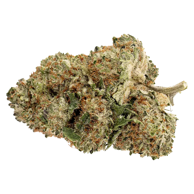 Close-up of a frosty cannabis bud with orange hairs and green leaves, labeled Pink Rhino.