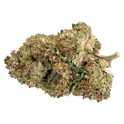 Close-up of a frosty cannabis bud with orange hairs and green leaves, labeled Pink Rhino.