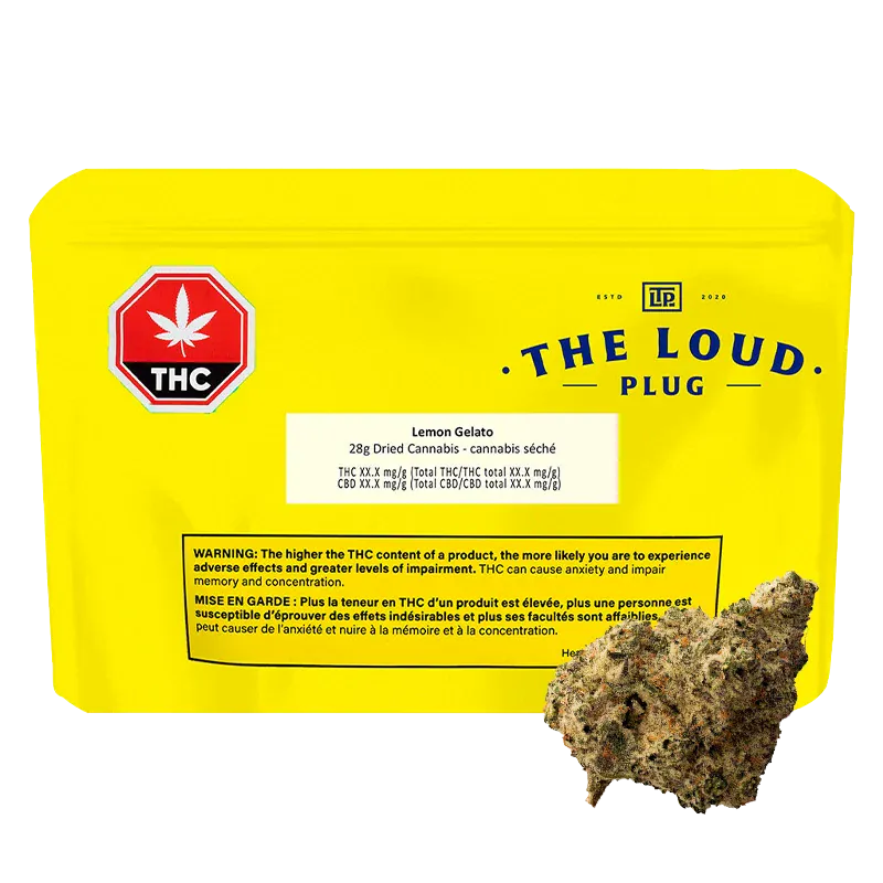 Front-facing shot of a bright yellow pouch labeled The Loud Plug Lemon Gelato with a THC symbol and a nug in the lower right.