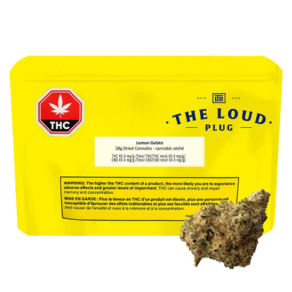 Front-facing shot of a bright yellow pouch labeled The Loud Plug Lemon Gelato with a THC symbol and a nug in the lower right.