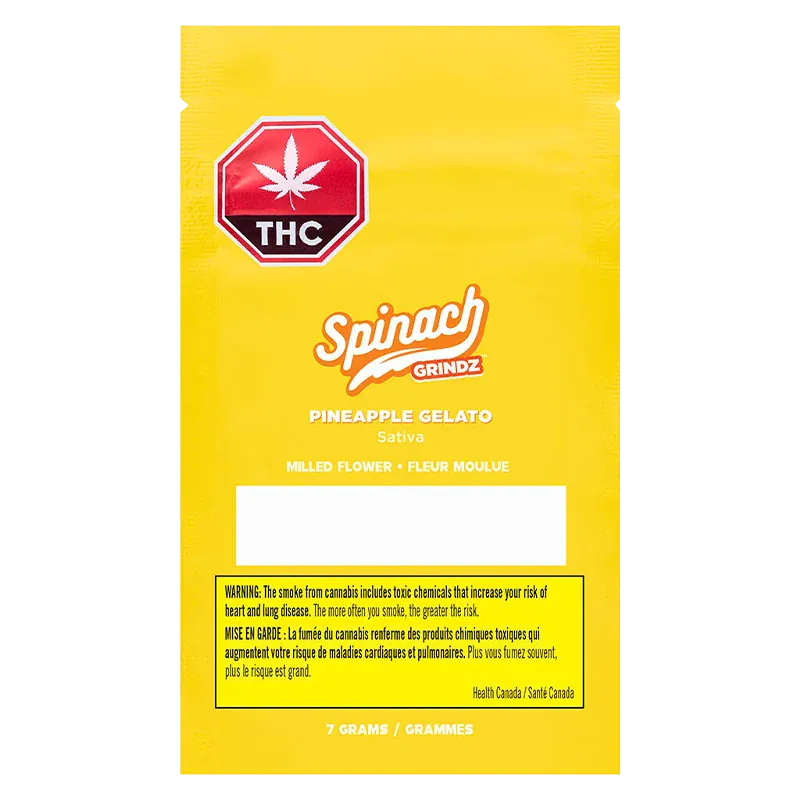Front-facing shot of a bright yellow pouch labeled Grindz - Pineapple Gelato with the Spinach logo, THC octagon, and warning box.