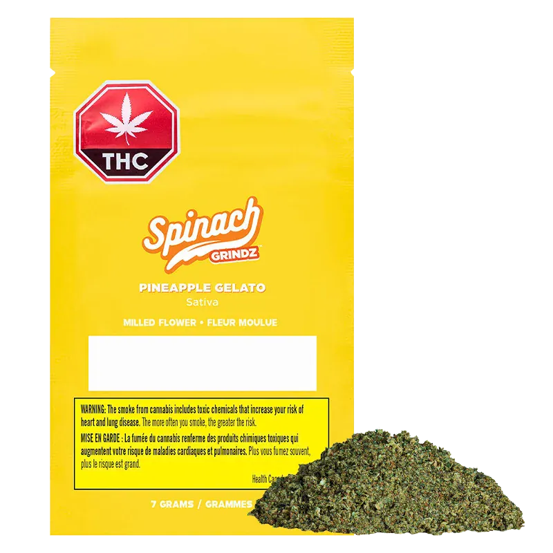 Front-facing shot of a bright yellow bag labeled "Grindz - Pineapple Gelato" with a red THC stop sign and a small pile of green milled flower at the bottom right.