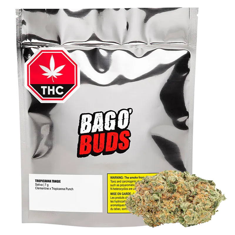 Front view of a metallic pouch labeled Bag O' Buds with a 7 g Tropicanna Tangie bud shown in front, on a white background