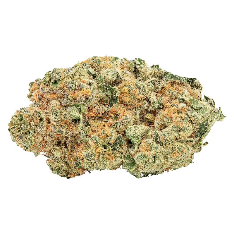 Close-up image of a frosty green and orange bud of Tropicanna Tangie against a white background.