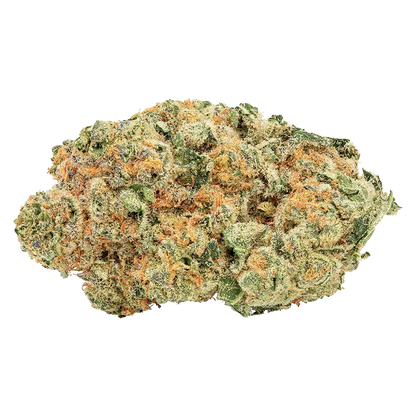 Close-up image of a frosty green and orange bud of Tropicanna Tangie against a white background.