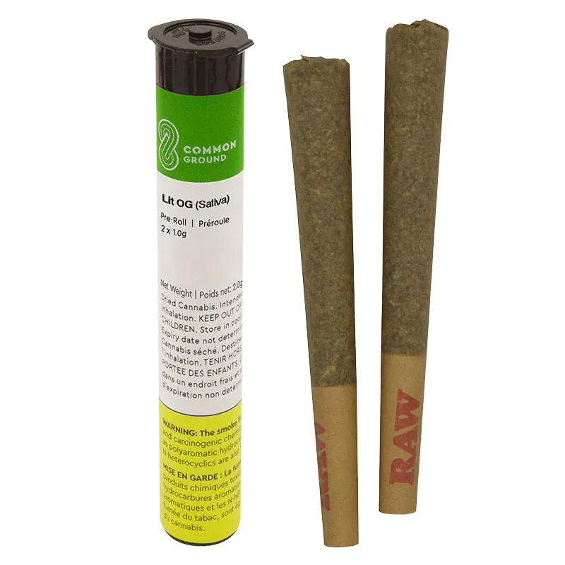 Three-quarter view of a Common Ground Lit OG PR 2 x 1 g white and green tube next to two cone-shaped pre-rolls with RAW tips.