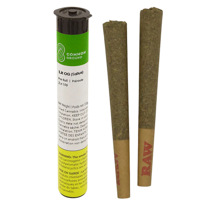 Three-quarter view of a Common Ground Lit OG PR 2 x 1 g white and green tube next to two cone-shaped pre-rolls with RAW tips.