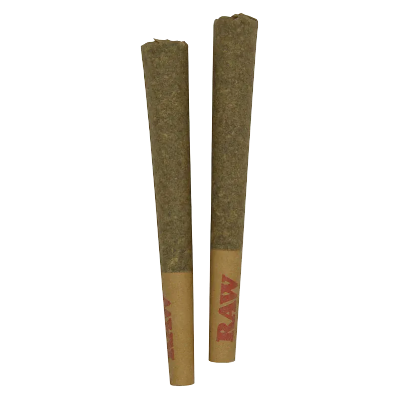 Overhead view of two upright Lit OG PR 2 x 1 g pre-rolls with visible RAW tips against a white background.