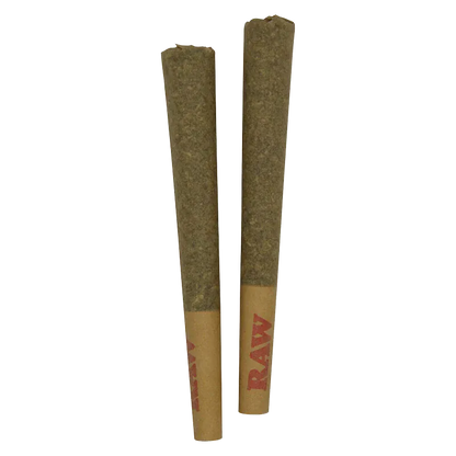 Overhead view of two upright Lit OG PR 2 x 1 g pre-rolls with visible RAW tips against a white background.