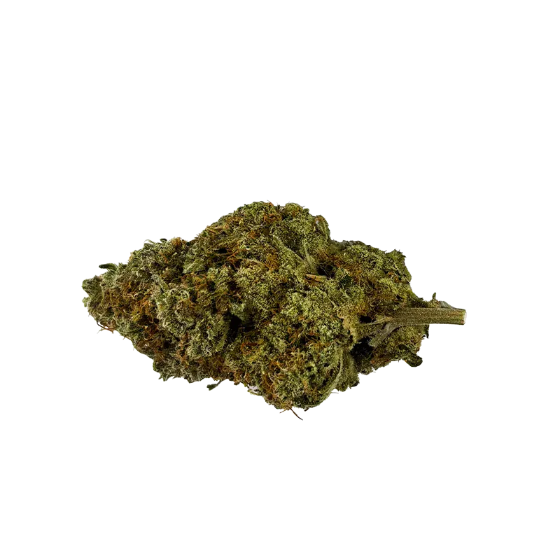 Single close-up of a green, trichome-covered Banjo cannabis bud shown on a white background with the stem visible.