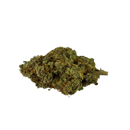 Single close-up of a green, trichome-covered Banjo cannabis bud shown on a white background with the stem visible.