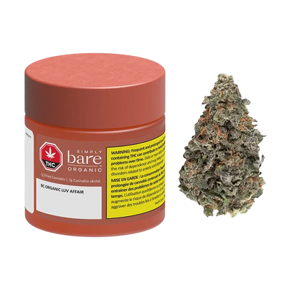 Front view of a 7 g jar and a single cannabis bud labeled BC Organic Luv Affair, shown on a white background.