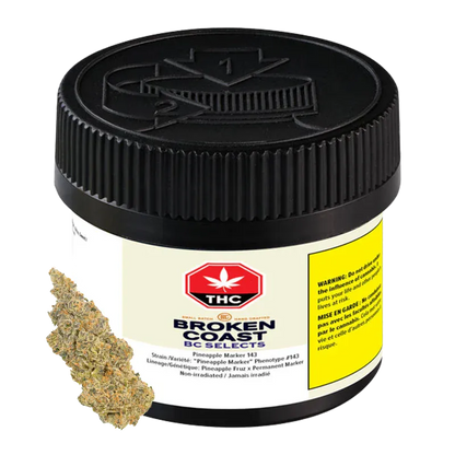 Close-up front view of a black-lidded jar labeled "BC Selects: Pineapple Marker 143" with a cannabis bud positioned beside it.