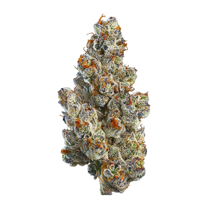 Close-up front view of a frosty, trichome-covered BC Organic Bling Blaow cannabis bud with bright orange pistils against a white background.