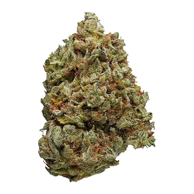 Top-down close-up of a single frosty bud of BC Organic Lemon Loopz against a plain white background.