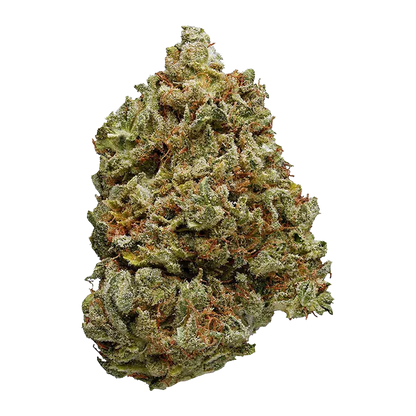 Top-down close-up of a single frosty bud of BC Organic Lemon Loopz against a plain white background.