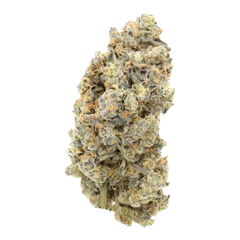 Close-up front view of a single dense bud of Platinum Pop Rocks showing frosty trichomes and orange pistils against a white background